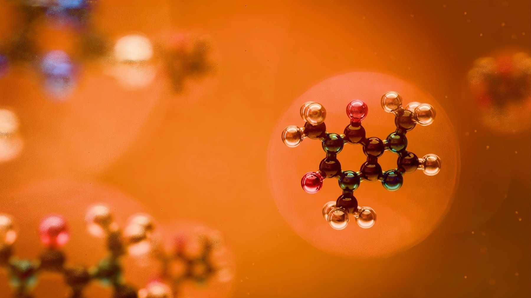 neurotransmitter signaling and hormone coordination in the body